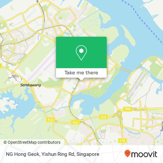 NG Hong Geok, Yishun Ring Rd map