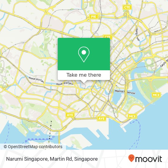 Narumi Singapore, Martin Rd地图