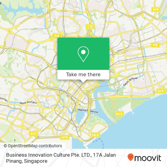 Business Innovation Culture Pte. LTD., 17A Jalan Pinang地图