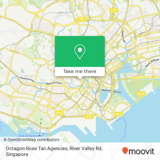 Octagon Rose Tan Agencies, River Valley Rd地图