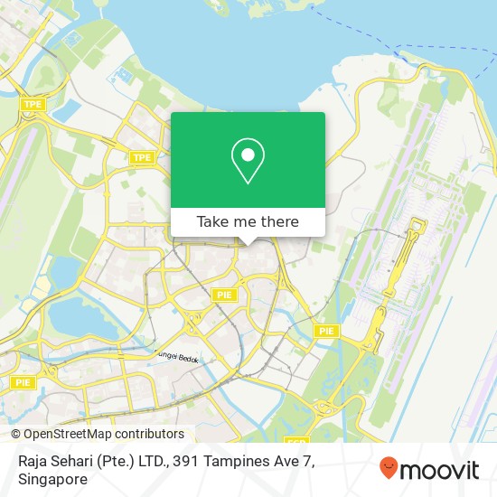 Raja Sehari (Pte.) LTD., 391 Tampines Ave 7地图