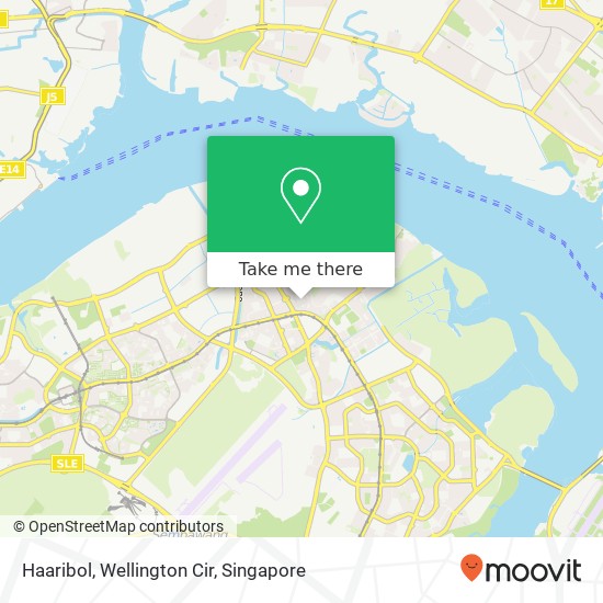 Haaribol, Wellington Cir map