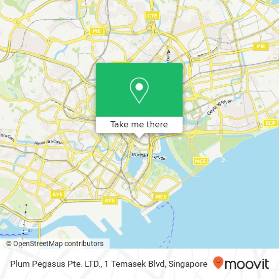 Plum Pegasus Pte. LTD., 1 Temasek Blvd地图