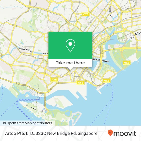 Artoo Pte. LTD., 323C New Bridge Rd地图