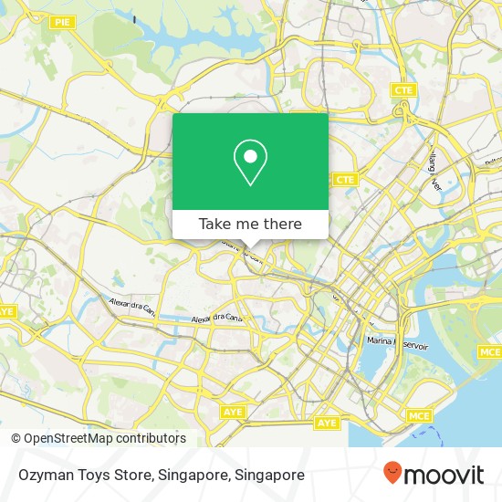 Ozyman Toys Store, Singapore map