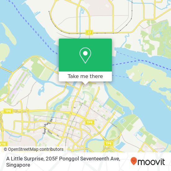A Little Surprise, 205F Ponggol Seventeenth Ave map