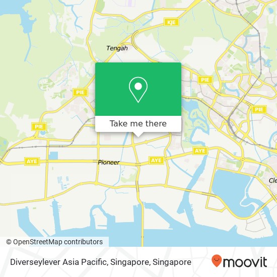 Diverseylever Asia Pacific, Singapore地图