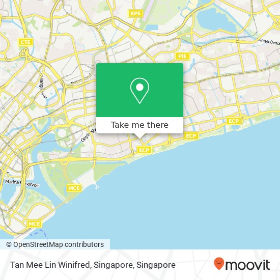 Tan Mee Lin Winifred, Singapore map