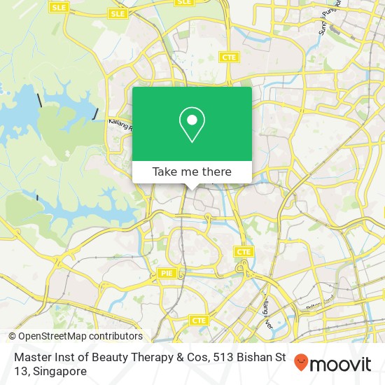 Master Inst of Beauty Therapy & Cos, 513 Bishan St 13地图