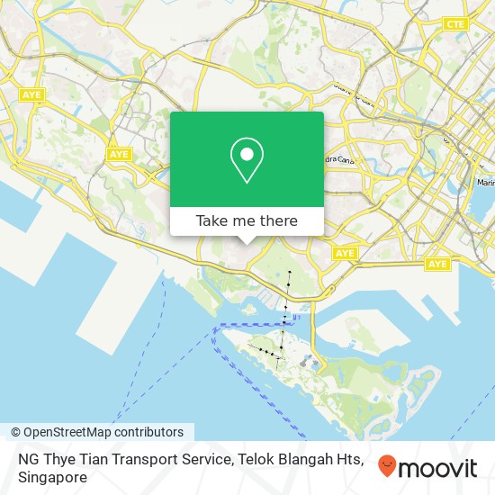 NG Thye Tian Transport Service, Telok Blangah Hts map