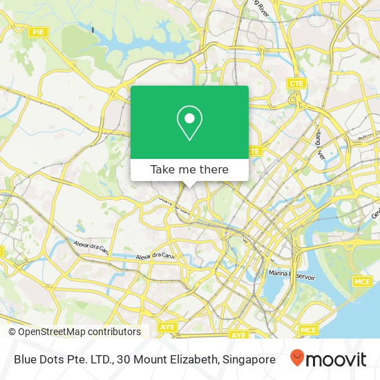 Blue Dots Pte. LTD., 30 Mount Elizabeth map