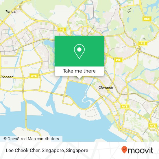 Lee Cheok Cher, Singapore map