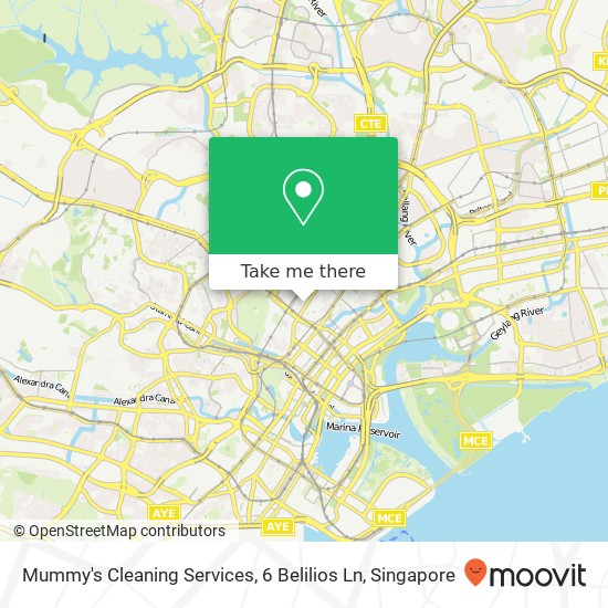 Mummy's Cleaning Services, 6 Belilios Ln地图