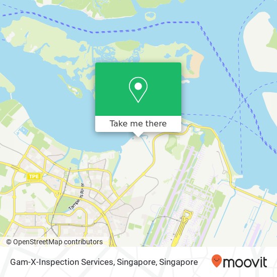 Gam-X-Inspection Services, Singapore map