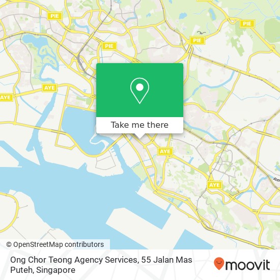 Ong Chor Teong Agency Services, 55 Jalan Mas Puteh地图