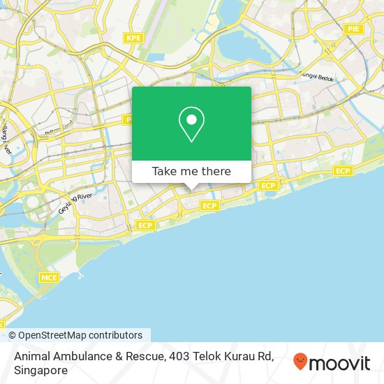 Animal Ambulance & Rescue, 403 Telok Kurau Rd地图