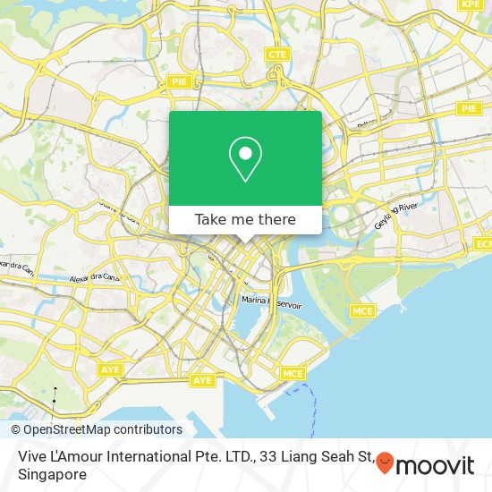 Vive L'Amour International Pte. LTD., 33 Liang Seah St map