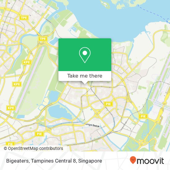 Bigeaters, Tampines Central 8地图