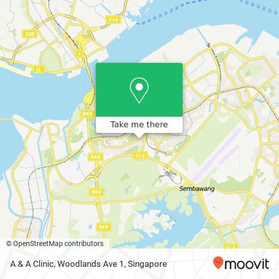 A & A Clinic, Woodlands Ave 1 map