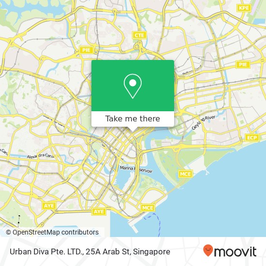 Urban Diva Pte. LTD., 25A Arab St地图