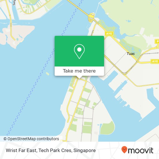 Wrist Far East, Tech Park Cres地图
