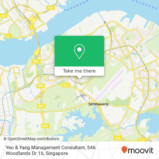 Yeo & Yang Management Consultant, 546 Woodlands Dr 16 map