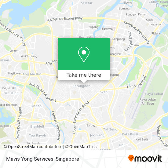 Mavis Yong Services map