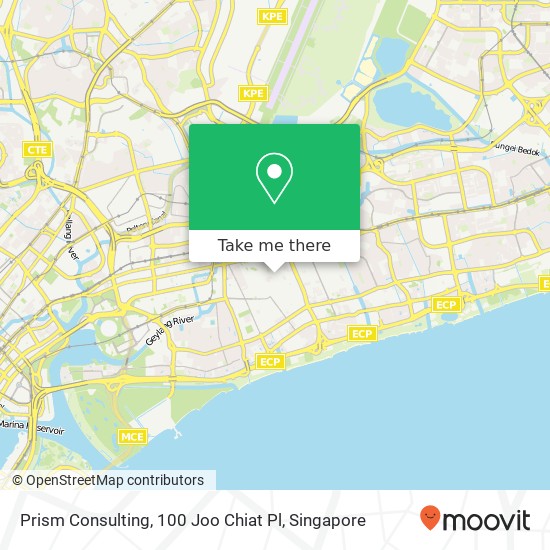 Prism Consulting, 100 Joo Chiat Pl map