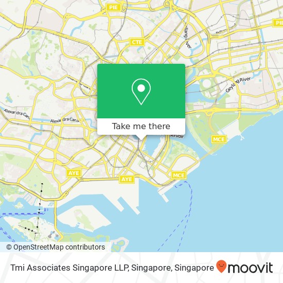 Tmi Associates Singapore LLP, Singapore map