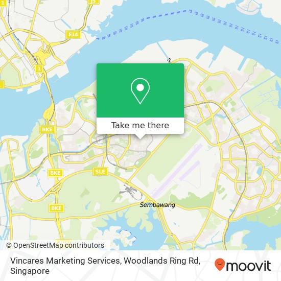 Vincares Marketing Services, Woodlands Ring Rd地图