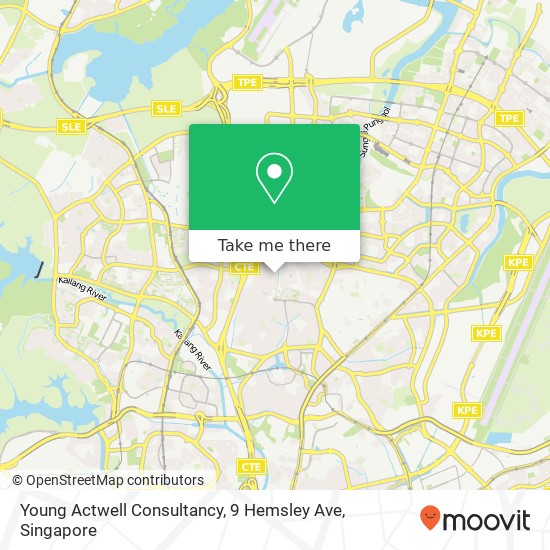 Young Actwell Consultancy, 9 Hemsley Ave地图