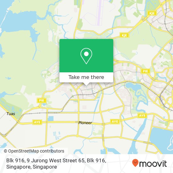 Blk 916, 9 Jurong West Street 65, Blk 916, Singapore地图