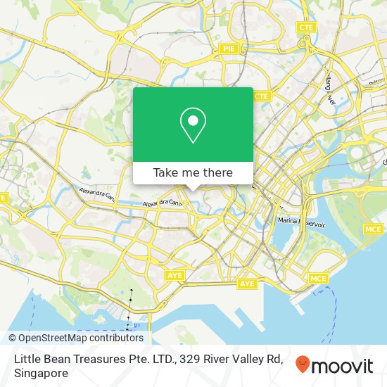 Little Bean Treasures Pte. LTD., 329 River Valley Rd地图