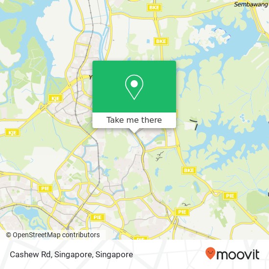 Cashew Rd, Singapore地图