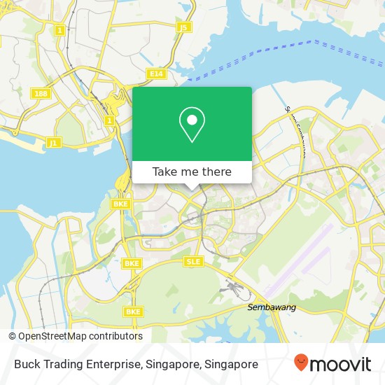 Buck Trading Enterprise, Singapore map