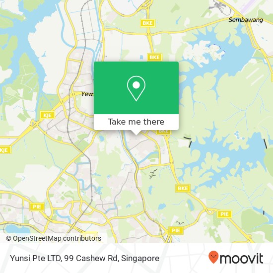 Yunsi Pte LTD, 99 Cashew Rd地图