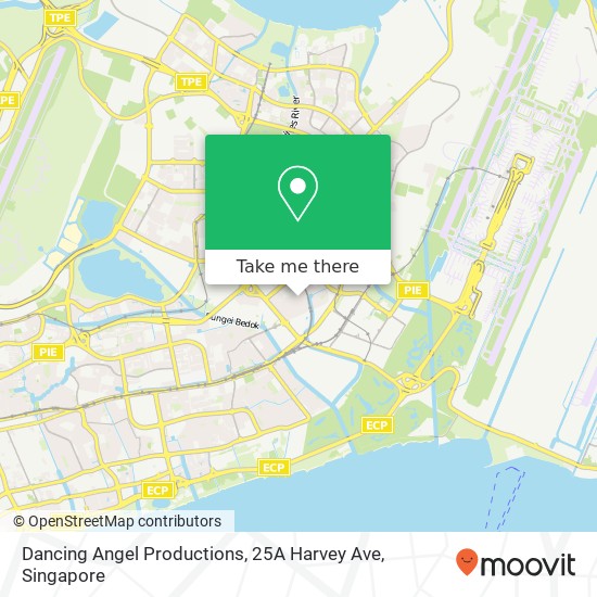 Dancing Angel Productions, 25A Harvey Ave map