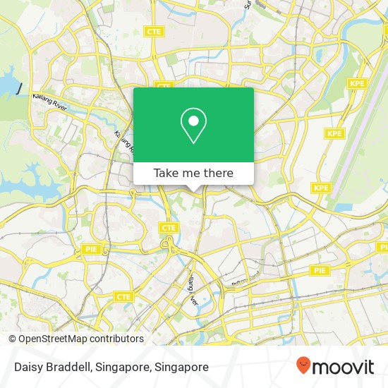 Daisy Braddell, Singapore map