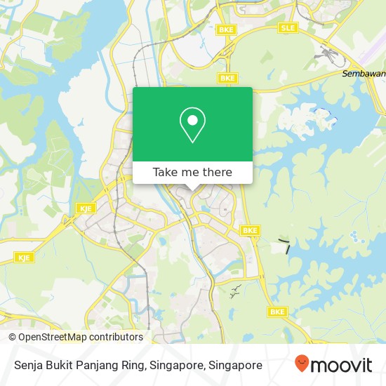 Senja Bukit Panjang Ring, Singapore地图