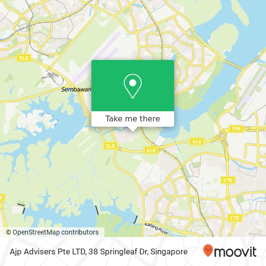 Ajp Advisers Pte LTD, 38 Springleaf Dr map