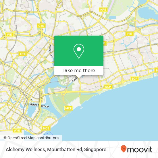 Alchemy Wellness, Mountbatten Rd地图