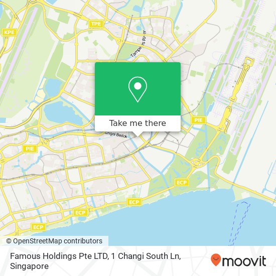 Famous Holdings Pte LTD, 1 Changi South Ln地图