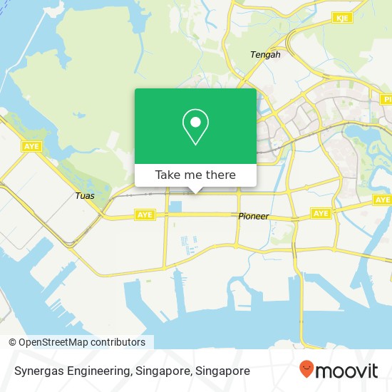 Synergas Engineering, Singapore地图