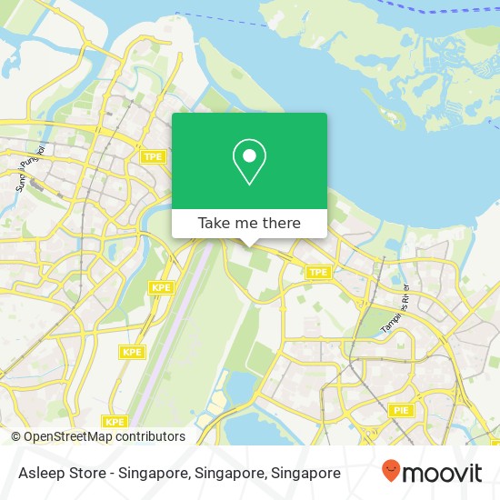 Asleep Store - Singapore, Singapore地图