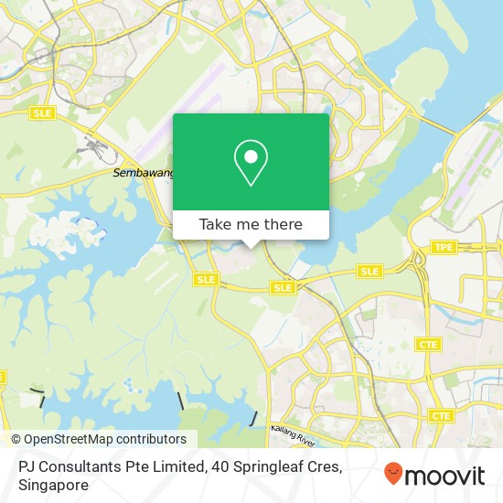 PJ Consultants Pte Limited, 40 Springleaf Cres map