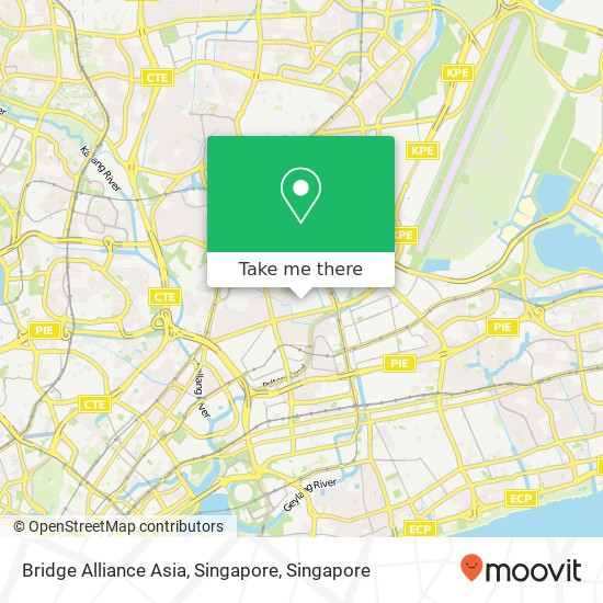 Bridge Alliance Asia, Singapore地图