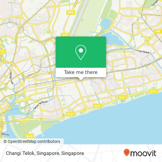 Changi Telok, Singapore map