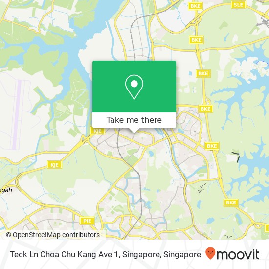 Teck Ln Choa Chu Kang Ave 1, Singapore地图