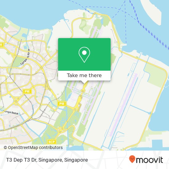T3 Dep T3 Dr, Singapore地图