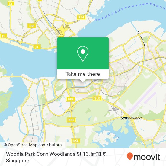 Woodla Park Conn Woodlands St 13, 新加坡地图